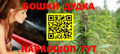 apvp Гатчина