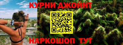apvp Гатчина