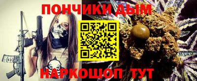 apvp Гатчина