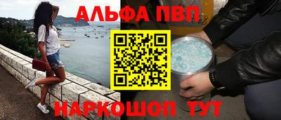 сатива Гай