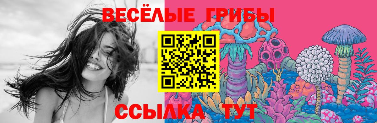 Махачкала  Псилоцибиновые грибы мицелий  Вход с VPN 