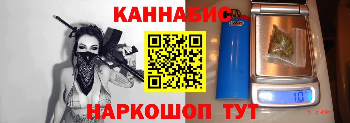 Каннабис сатива Махачкала